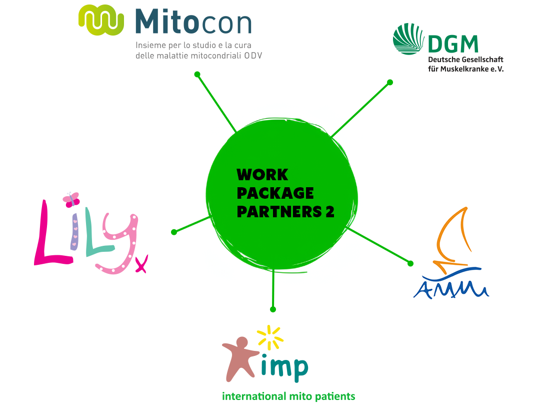  Logos of our Global Registry partners - Mitocon, Lily Foundation, DGM and AMMI.