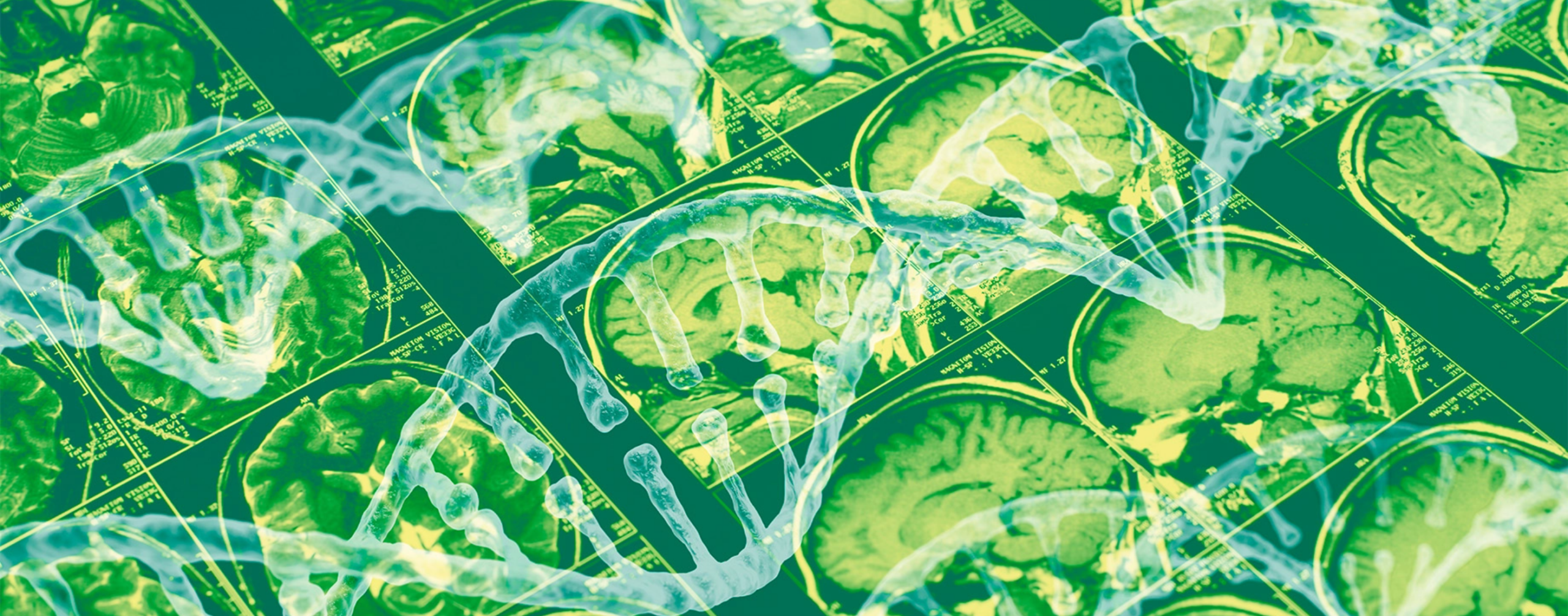 'Support for members' banner.